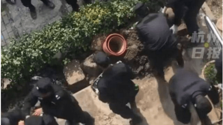 老人在自家院子种菜被强行清理,是不是其他业主举报?