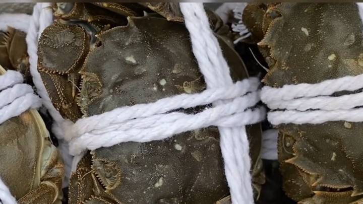 一斤皮筋卖出上百元螃蟹价,你还敢买海鲜吗?