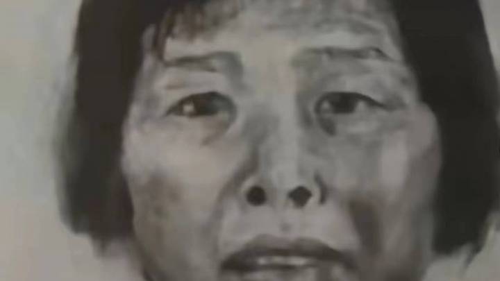 ‘梅姨’如果落网,你支持判其死刑吗?