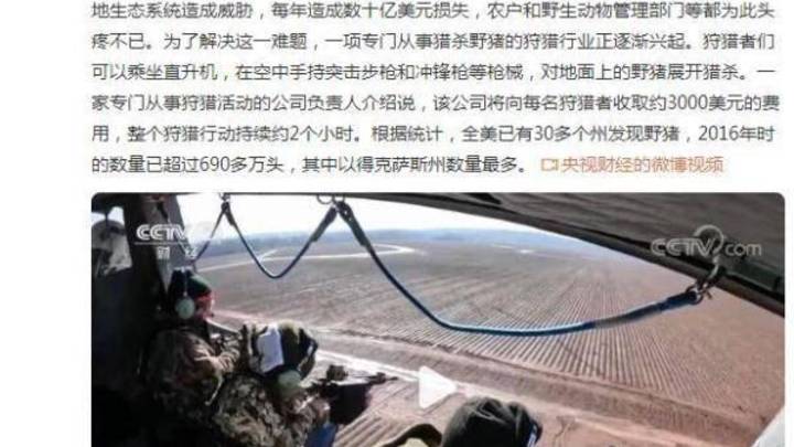 野猪成灾,每年损失数十亿美元,你还会猎杀野猪吗?