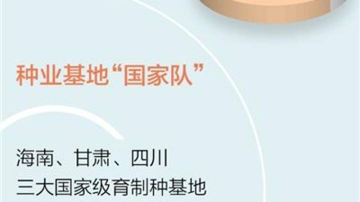一粒水稻良种是怎样育成的,你知道吗?