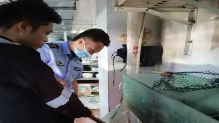 中华鲟能否明码标价摆上食客餐桌?