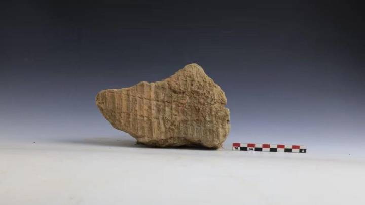 河南安阳发现距今约7800年聚落遗址,可以追溯到7000多年前吗?