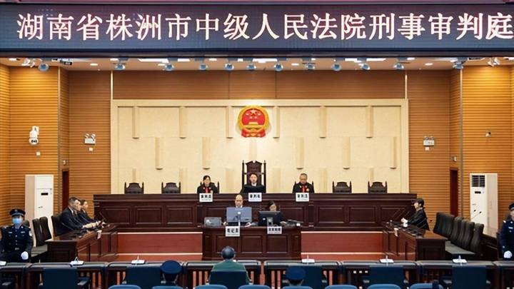 当了7个月市委书记后被查,杨懿文获刑16年半,你支持重判吗?