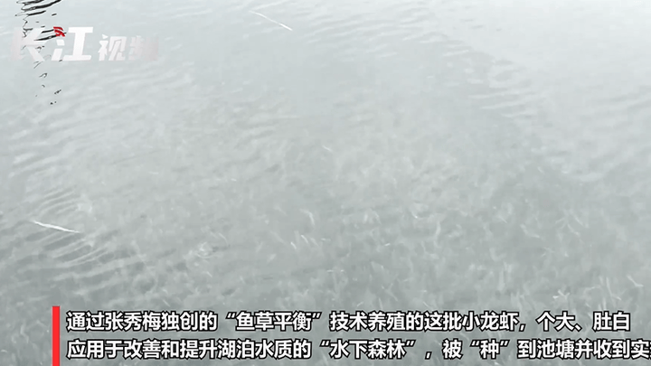 34岁女博士后把论文写在鱼塘里,这样的论文值得学习吗?
