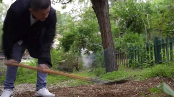 李亚鹏在自家院子种菜,应该被叫停吗?