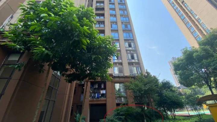 重庆姐弟坠亡案二审宣判,张波、叶诚尘被判死刑,你觉得合理吗?