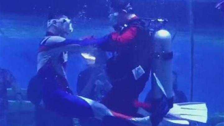游客反映海洋馆员工水下互殴,馆方称是正常演出节目,你相信吗?