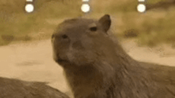 员工提前吃午饭被辞退,合理吗?