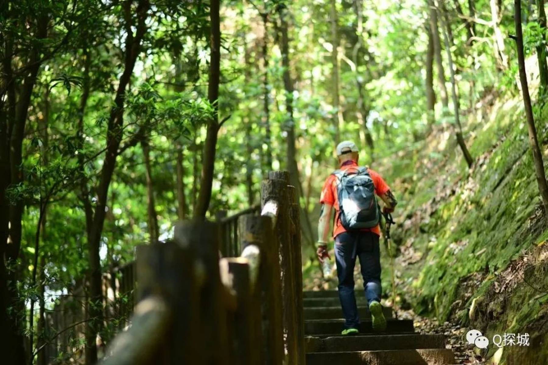 一起爬山吗？重庆这4座山头冷门爬山法来袭