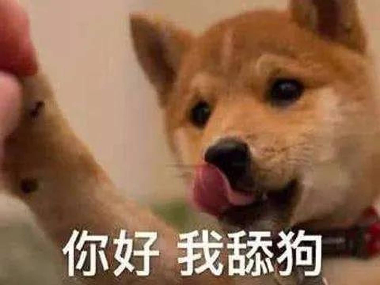 见证一下，影视剧中的七大舔狗，道路干万条，舔完泪两行！