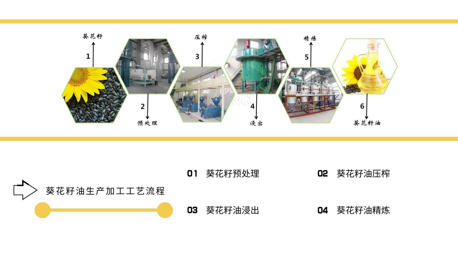 食用葵花籽油成套生产加工设备图片展示一览表