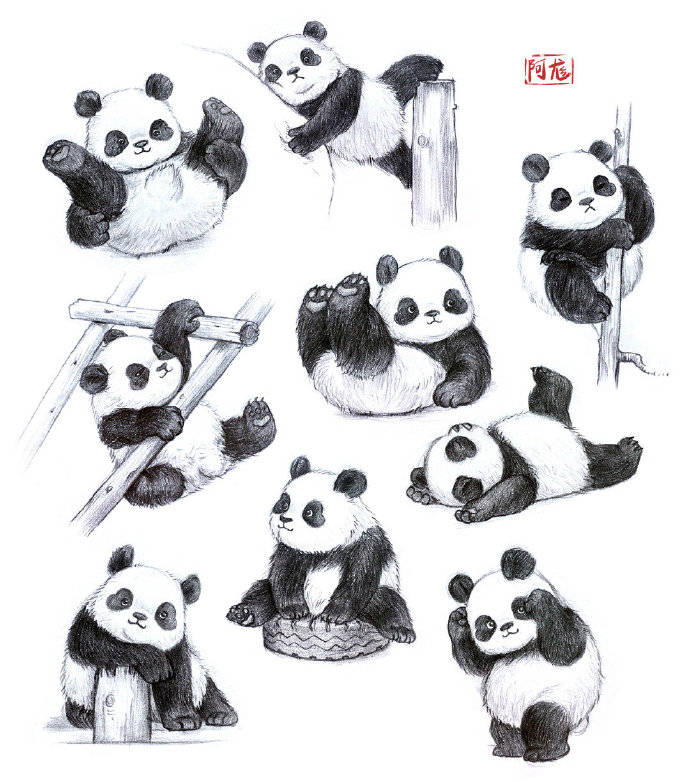 国宝熊猫怎么画?大熊猫怎么画?