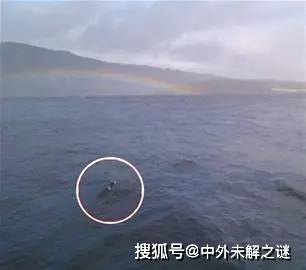 神秘青海湖水怪听说过吗它神出鬼没究竟是何物来自外星