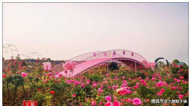 随州炎帝故里的后花园:炎帝紫薇园