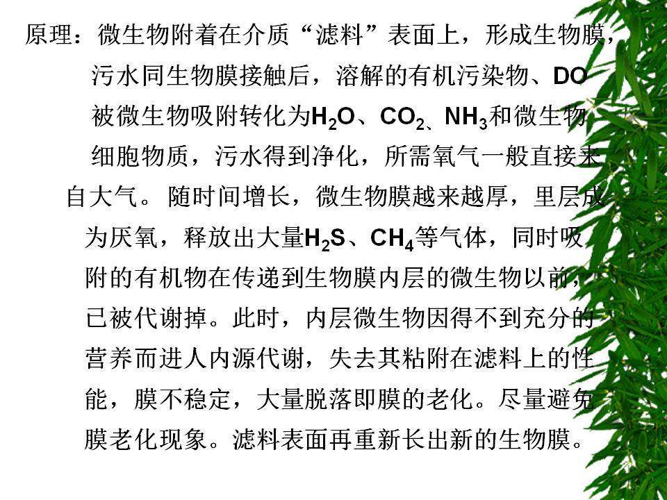 污水处理生物膜