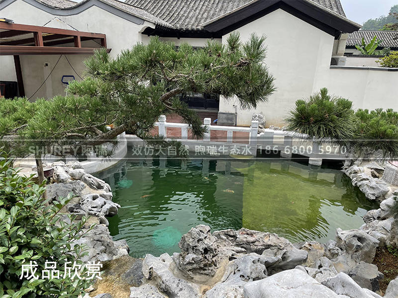 一个被砸掉重建的别墅庭院锦鲤鱼池如获新生!