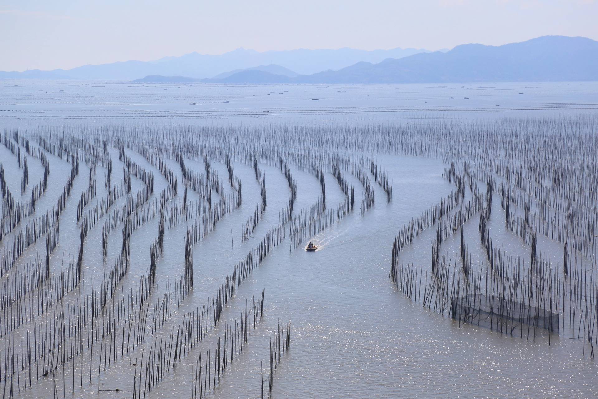 霞浦沙江村s弯美景