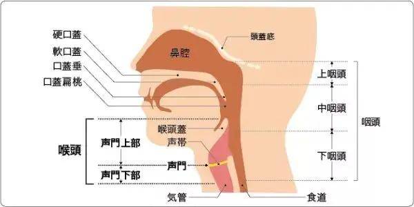 贵阳铭仁耳鼻喉医院:声音持续嘶哑,要警惕喉癌的风险