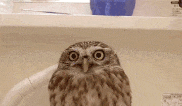 原创搞笑gif趣图:陪公公去菜市场买鲍鱼,发现缺斤短两,公公和小贩吵了