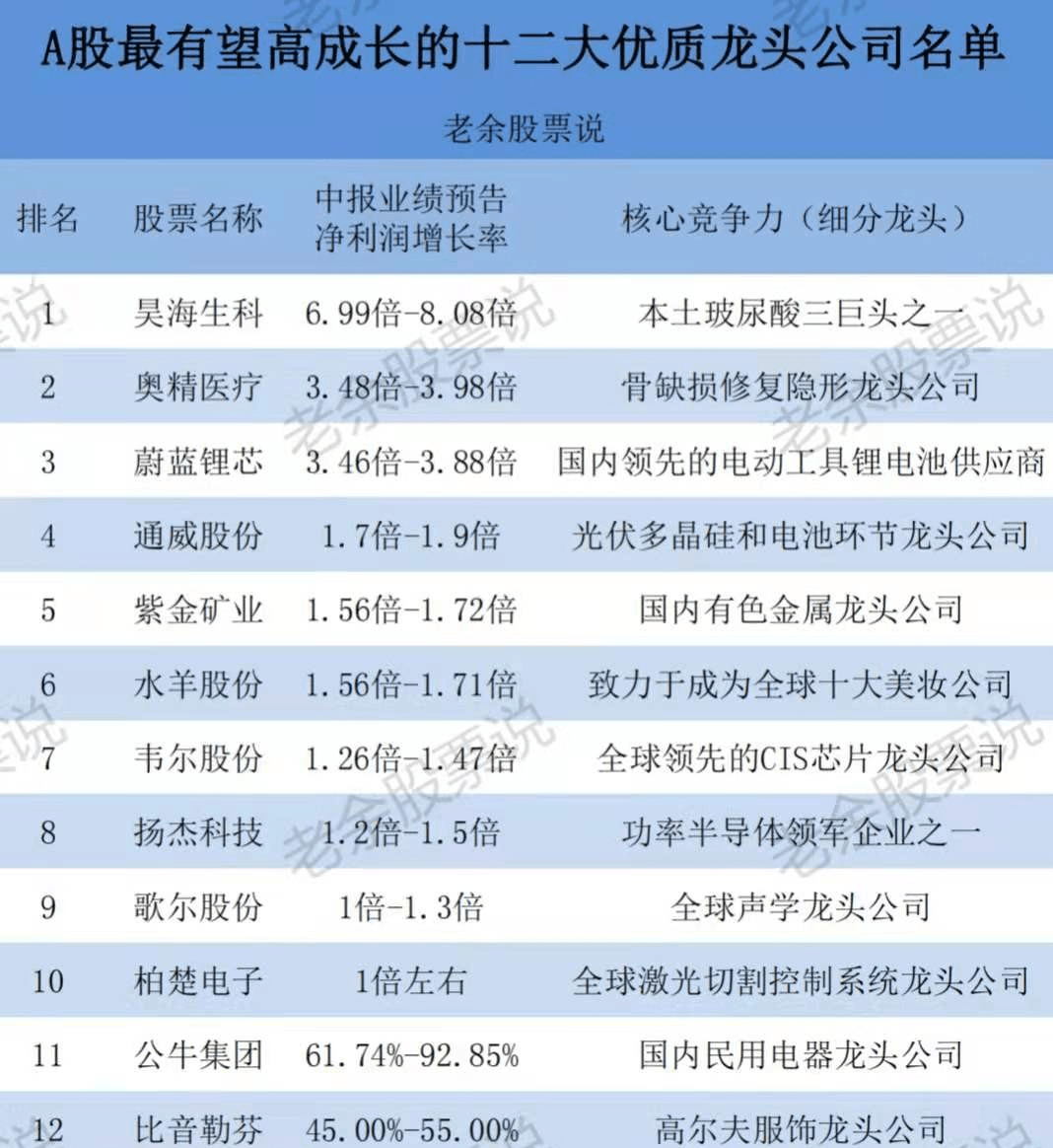 a股最有望高成长的十二大优质龙头公司,值得收藏研究