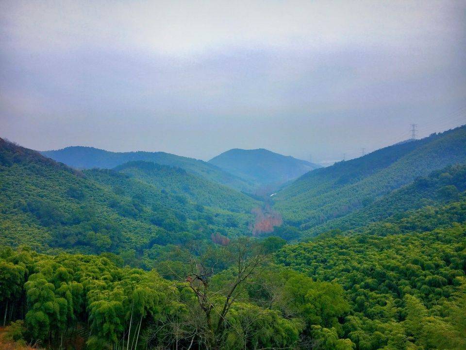 杭州东明山森林公园