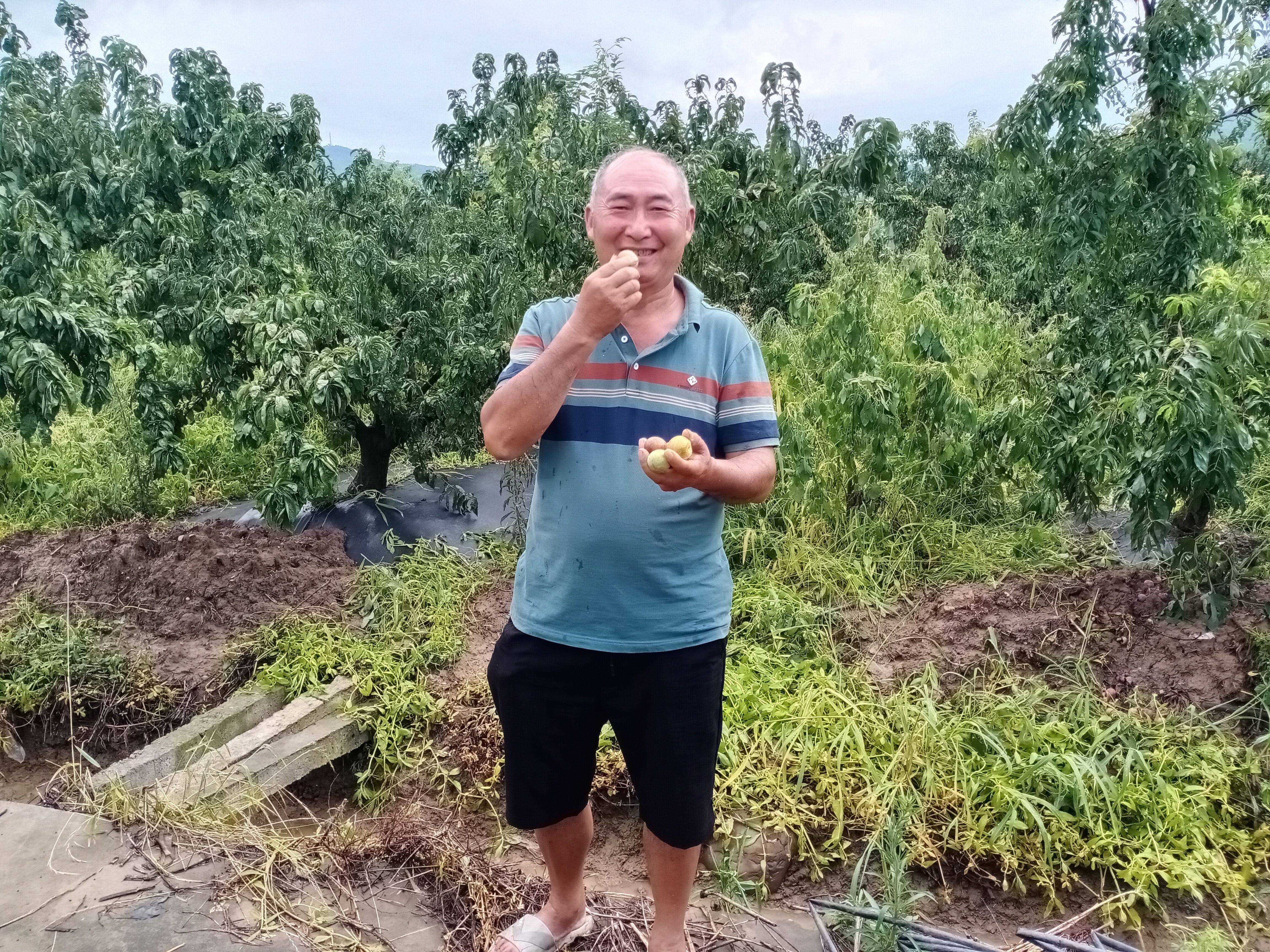 四川一高校学子深入李子种植基地,探寻李子的秘密_江玥莹