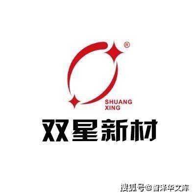 智泽华文库2020年报财务指标分析案例双星新材