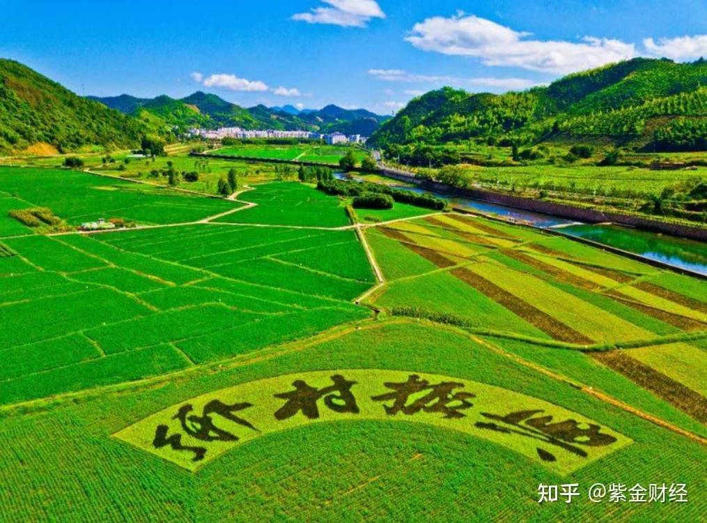 吉林市实施乡村振兴战略现场推进会议在舒兰召开