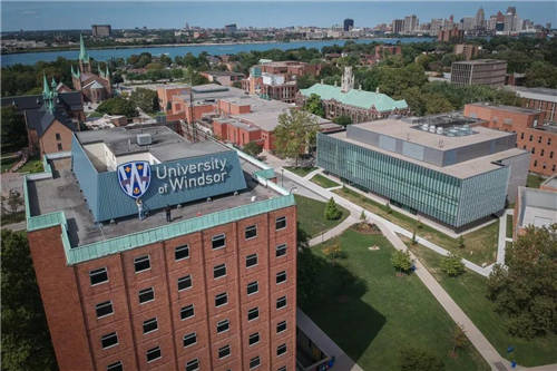 university of windsor