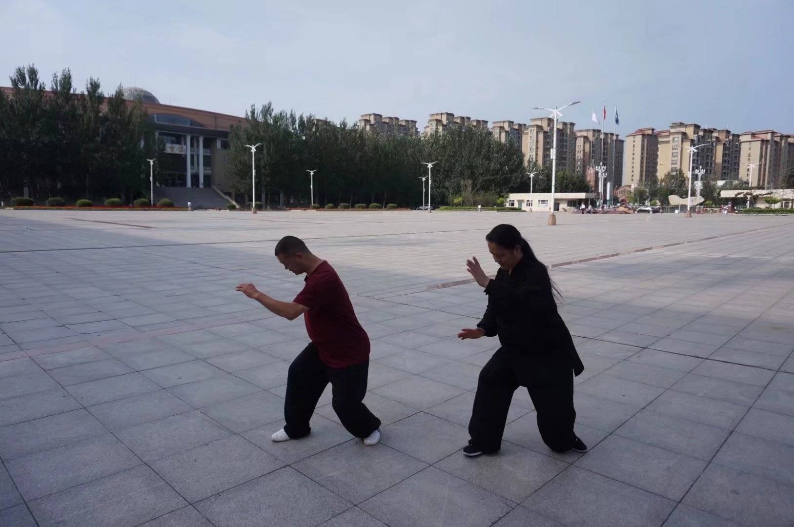 名家谈太极推手-黑龙江绥化洪式太极拳王三海