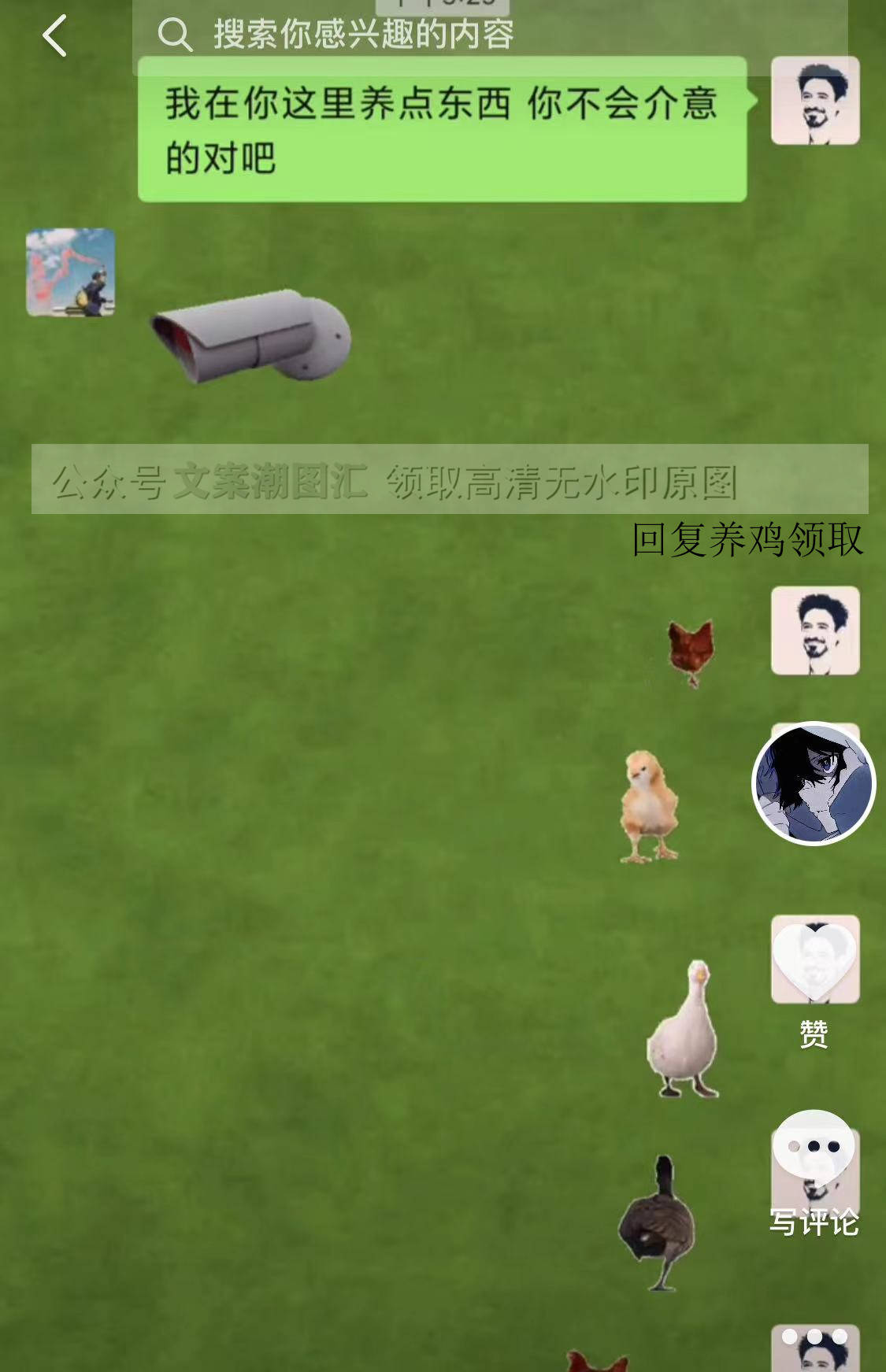 聊天 养鸡动态表情包图片 草地背景图 监控摄像头表情