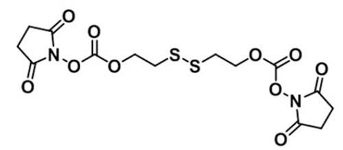 nhs-ss-nhs,nhs-s-s-nhs,琥珀酰亚胺-双硫键活性酯-琥珀酰亚胺定制