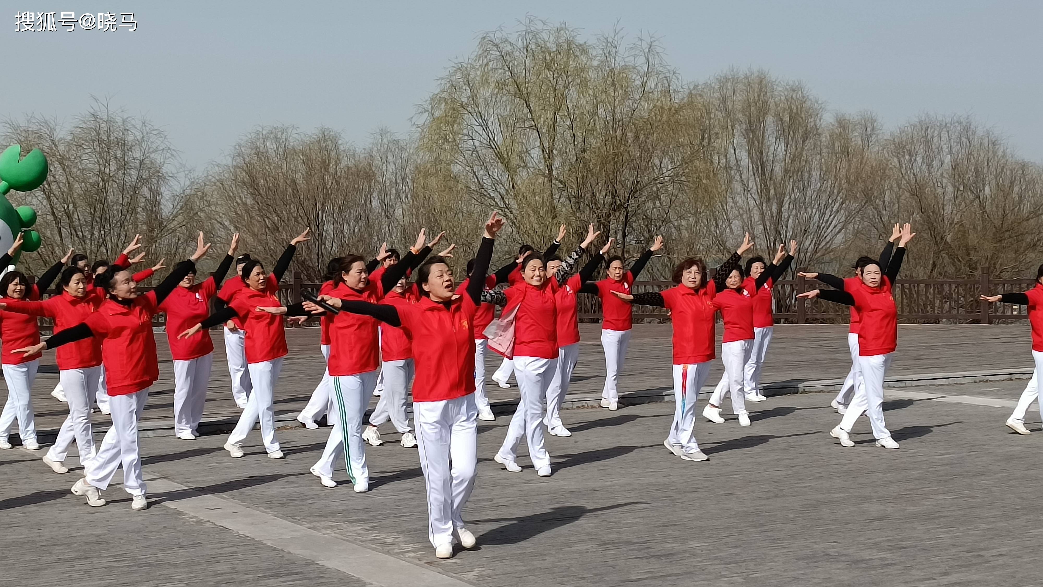 舞运动协会以"舞动乡村"志愿服务项目为抓手,扎实开展广场舞进社区,进