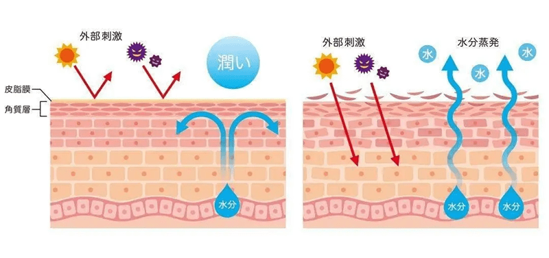 青春期皮肤屏障受损多久能好皮肤屏障受损严重要多久可以好