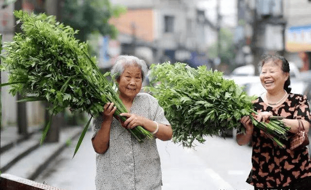 范恪劼采艾记写在端午中原作家