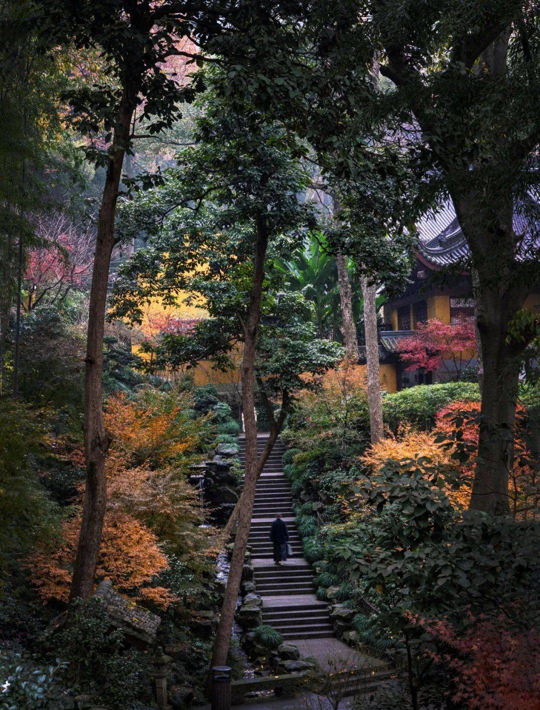 ��ɽ������ʦ�������Ե