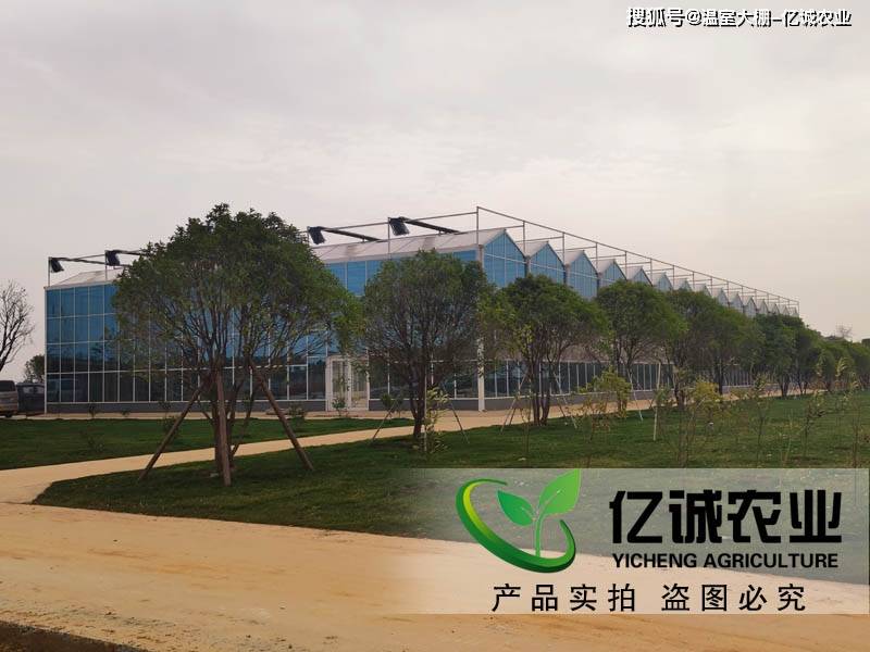 温室大棚建造步骤（温室大棚怎么搭建）