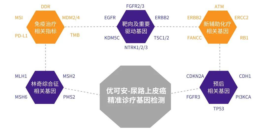 2023 ASCO-GU丨尿路上皮癌治疗及生物标记物研究进展盘点