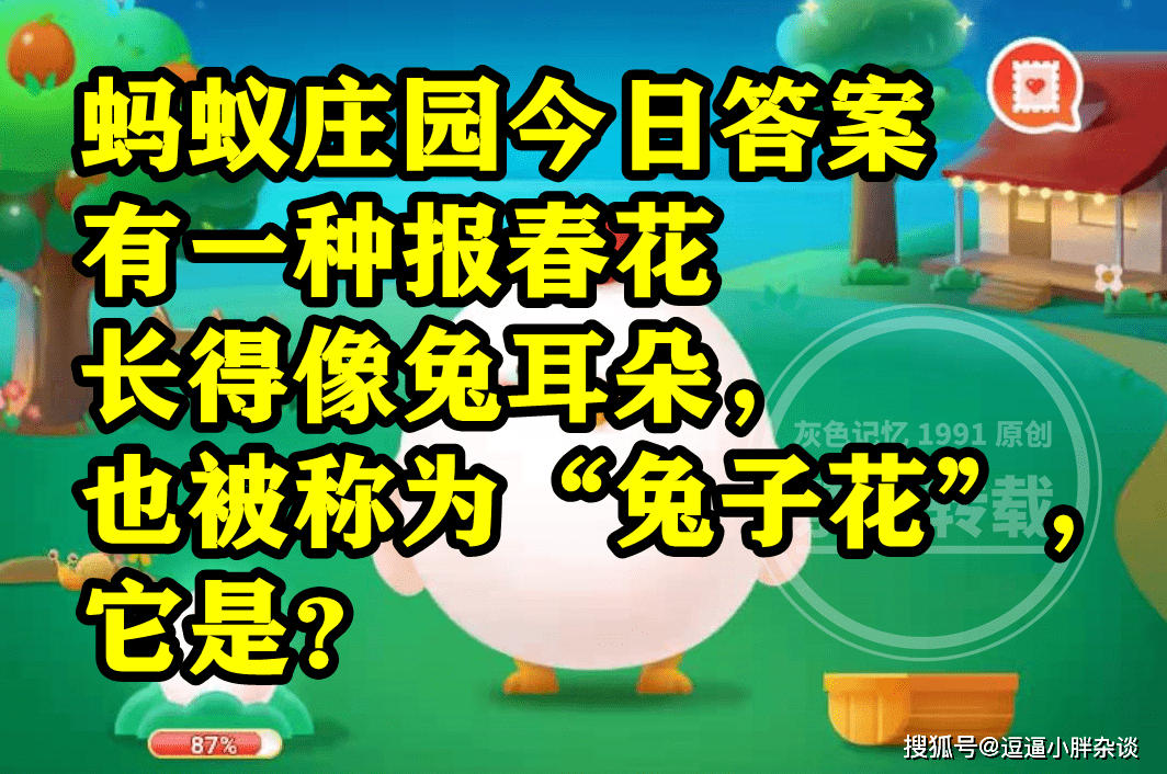 有一种报春花长得像兔耳朵被称为兔子花它是啥？蚂蚁庄园谜底