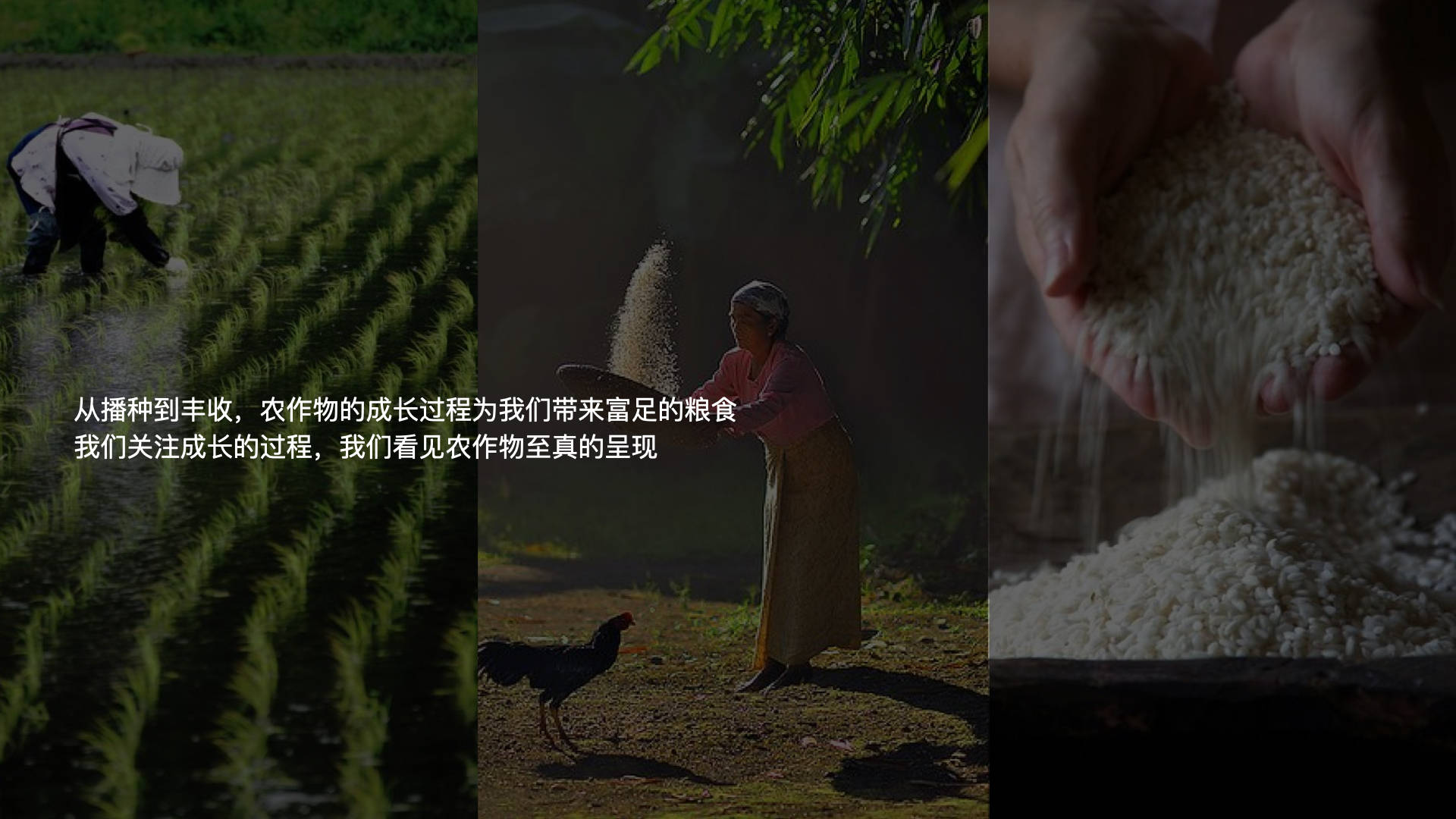 文章配图-3