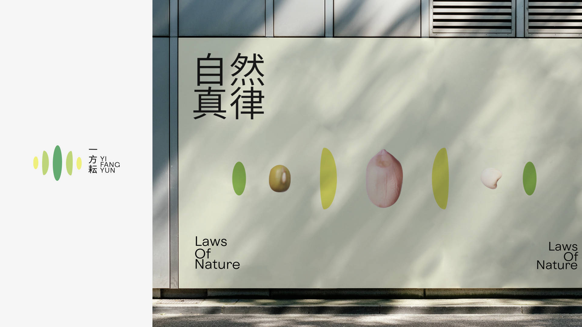 文章配图-5