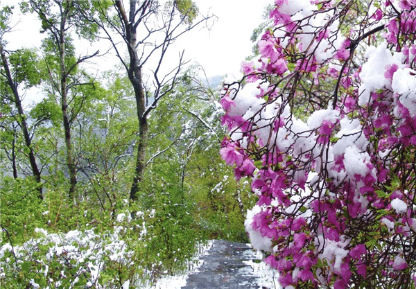 谷雨到，野游去，保定野三坡奇景美食等着你