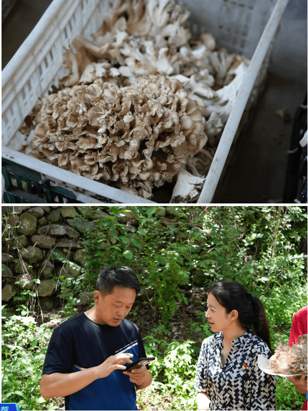 LD乐动 乐动体育青春奋进新征程乡村振兴建新功齐鲁师范学院“赓续‘信’星火振兴新乡村”(图17)