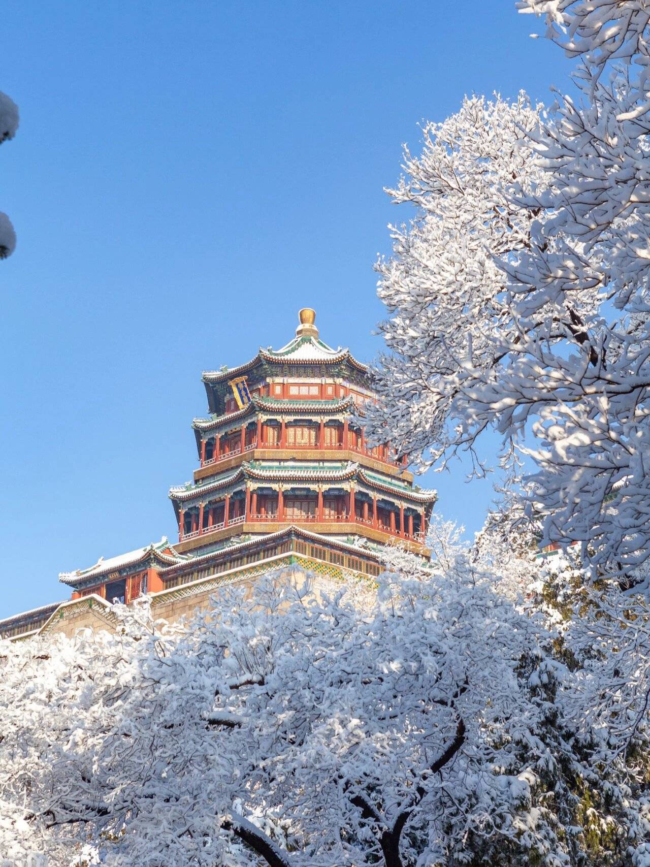 秋冬季节的魅力之旅！北京半自助旅游全攻略