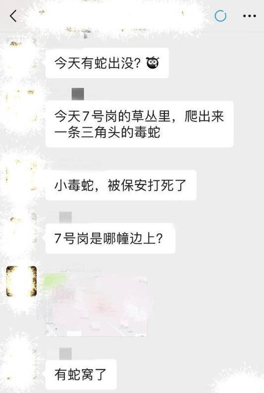 小区■杭州一小区接连现3条蛇 女业主吓到崩溃:有蛇窝了?，