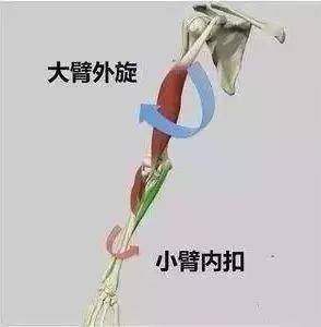 3021075a67b447eda53dcd5ded637f4d.jpeg