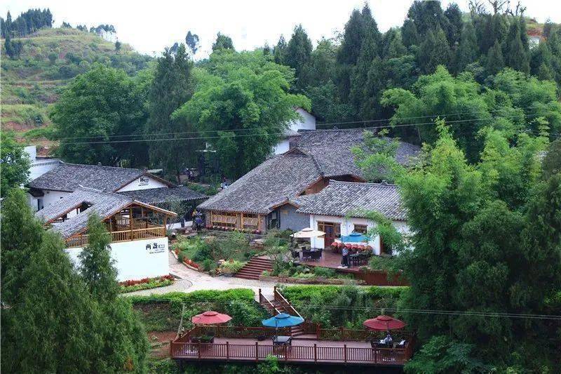 川酒&凤凰台筑梦未来:小小宇航员集结果海酒村,开启别样太空之旅