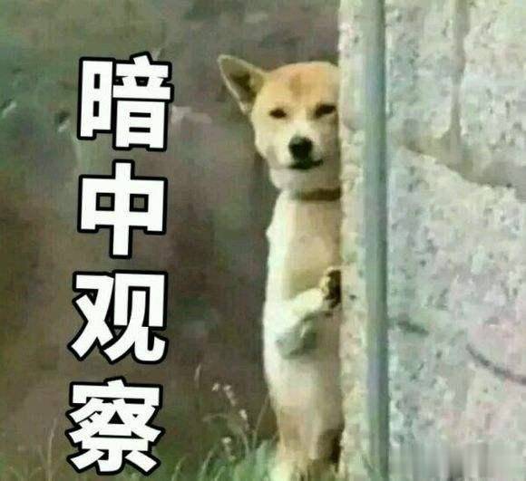 fd42f00a2ce14c2a8f980f25ff6699fc.jpeg