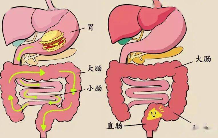 男朋友说…看心情_大便